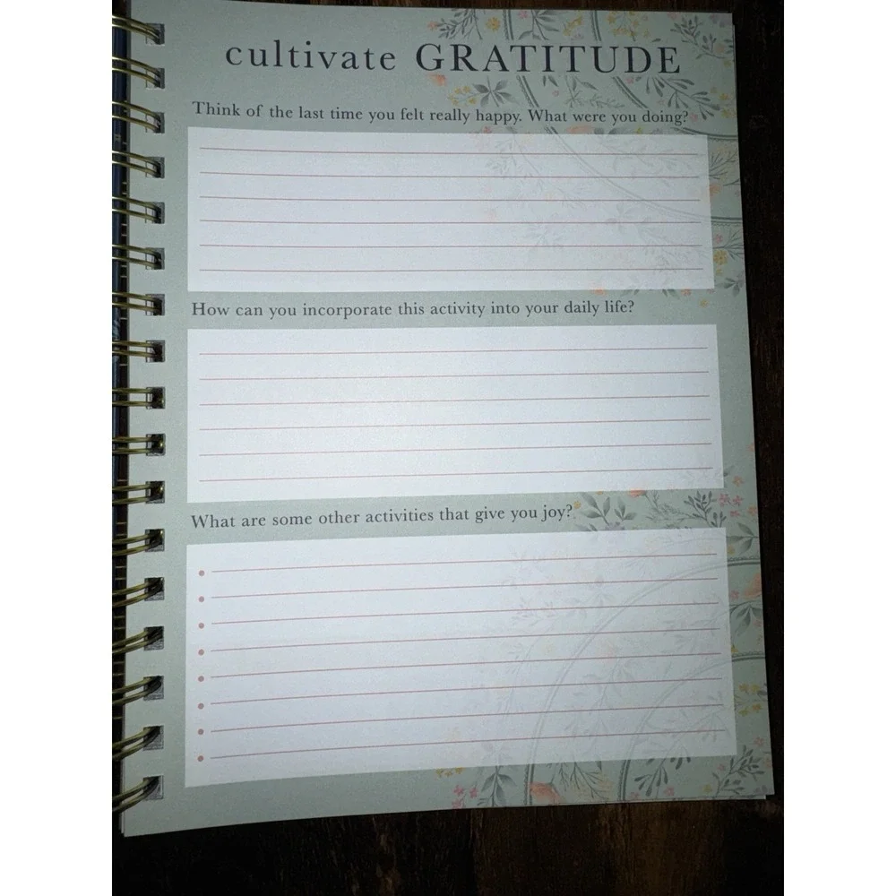 Lady Jane Guided  Journal Book 210 pages Gratitude Intention Goals Prompts